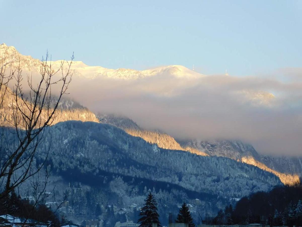 Sinaia Alpineview Residence Eksteriør billede