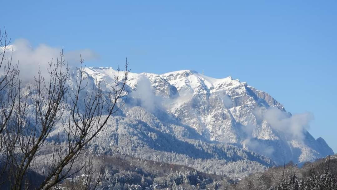 Sinaia Alpineview Residence Eksteriør billede
